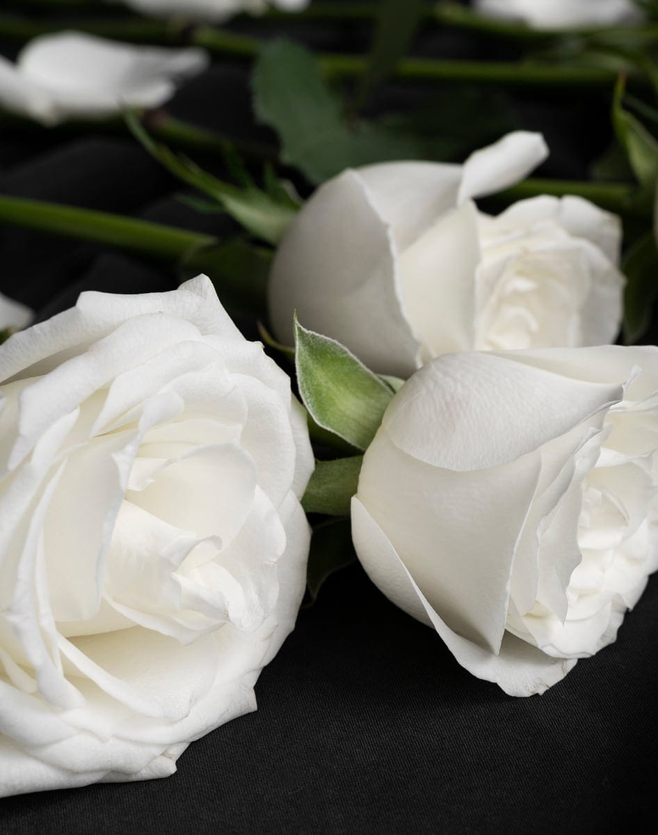Fiori bianchi